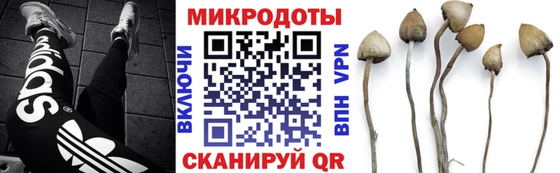 Псилоцибиновые грибы Psilocybe  гидра ссылка  Славгород 