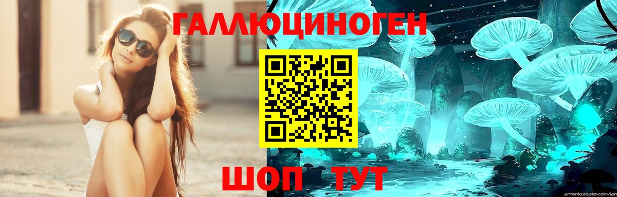 Псилоцибиновые грибы GOLDEN TEACHER  Вход с VPN  Славгород  Галлюциногенные грибы GOLDEN TEACHER 