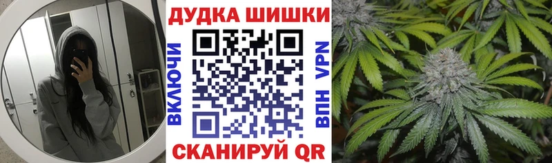 МАРИХУАНА конопля  Славгород 