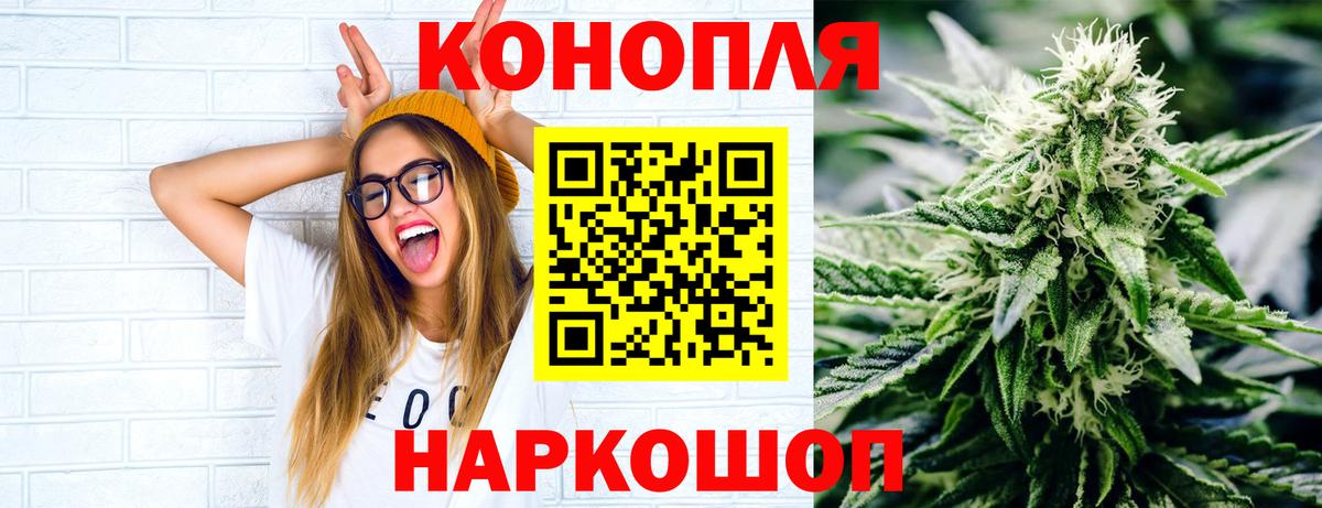 Бошки марихуана конопля Славгород